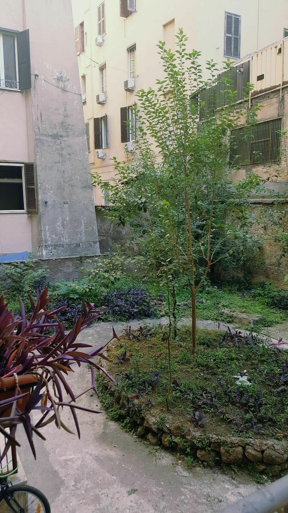 רומא Marcelina Vaticans Rooms מראה חיצוני תמונה